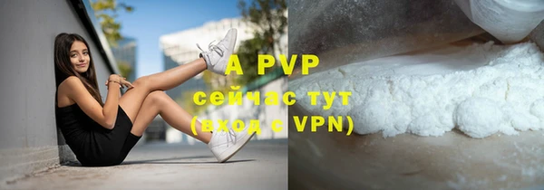 спайс Баксан