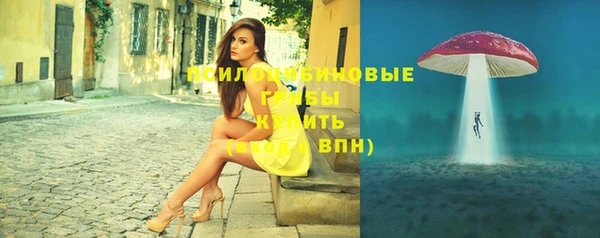 спайс Баксан